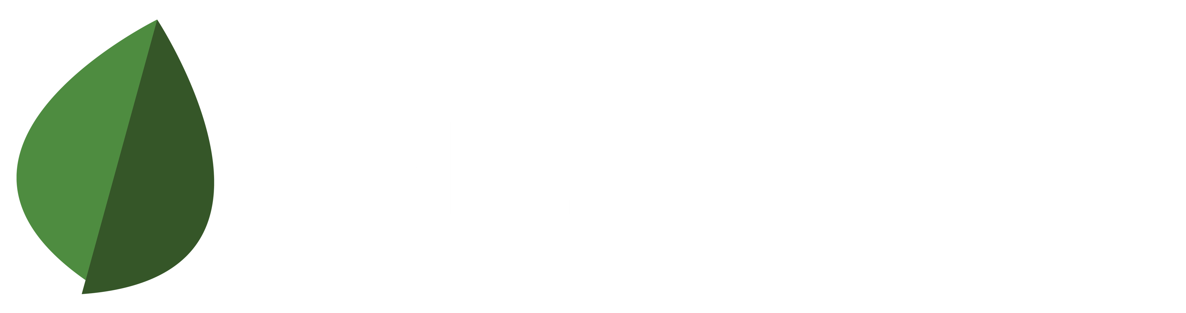 Fortifi Bank